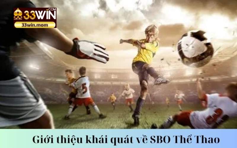 SBO Thể Thao - Nơi Thỏa Sức Đam Mê Cá Cược Thể Thao đỉnh cao!