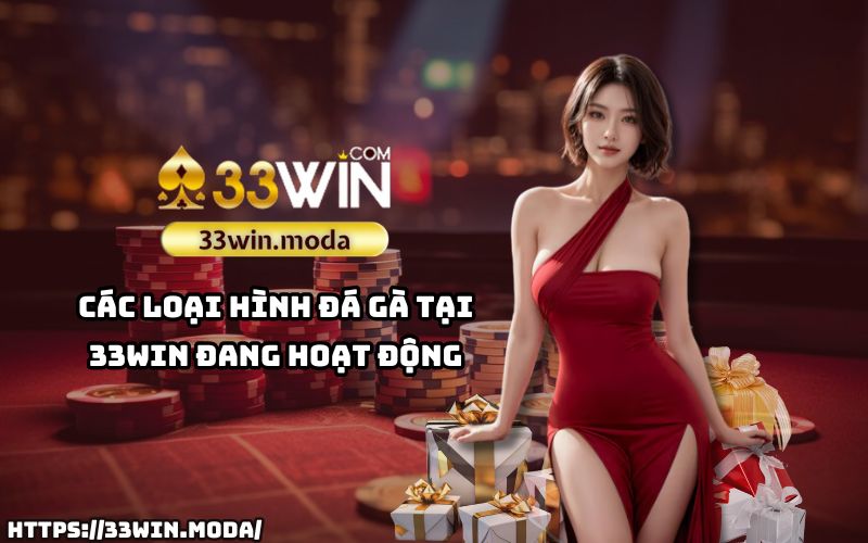 Khám phá các thể loại đá gà 33Win - Từ truyền thống đến hiện đại, đủ mọi phong cách