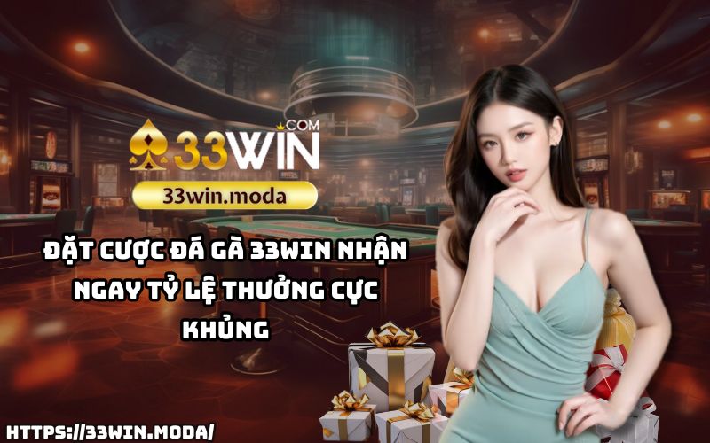 Đặt cược đá gà 33Win - Cơ hội nhận thưởng khủng với mỗi lần đặt kèo