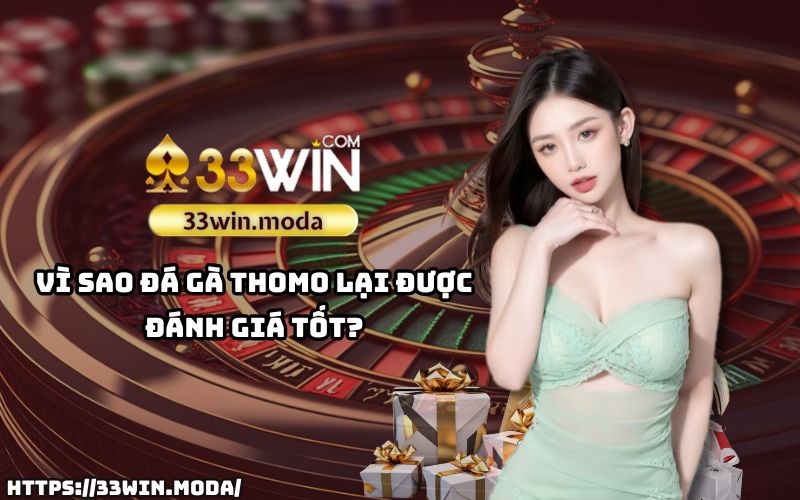 Đá gà Thomo 33Win – Nơi hội tụ đẳng cấp và uy tín của giới đam mê gà chiến