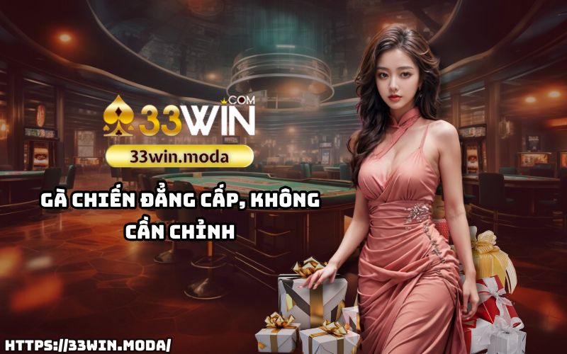 Đỉnh cao gà chiến tại Đá gà Thomo 33Win – Bản lĩnh của những chú gà không thể xem nhẹ